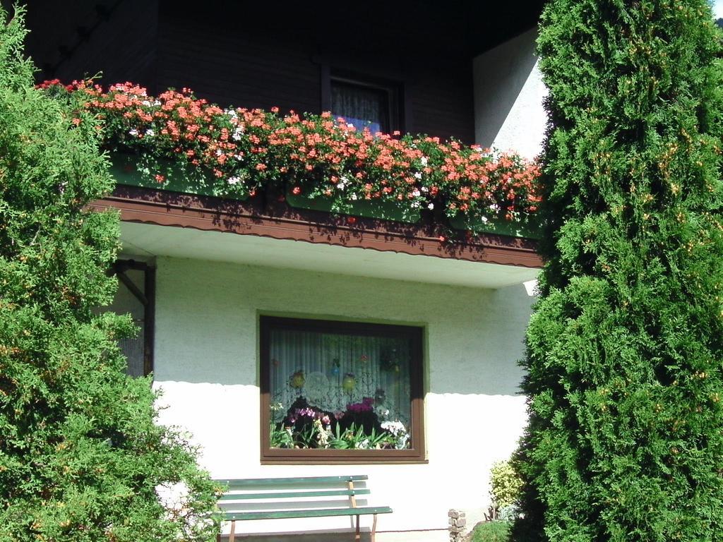 Appartement Ria Bad Kleinkirchheim Luaran gambar